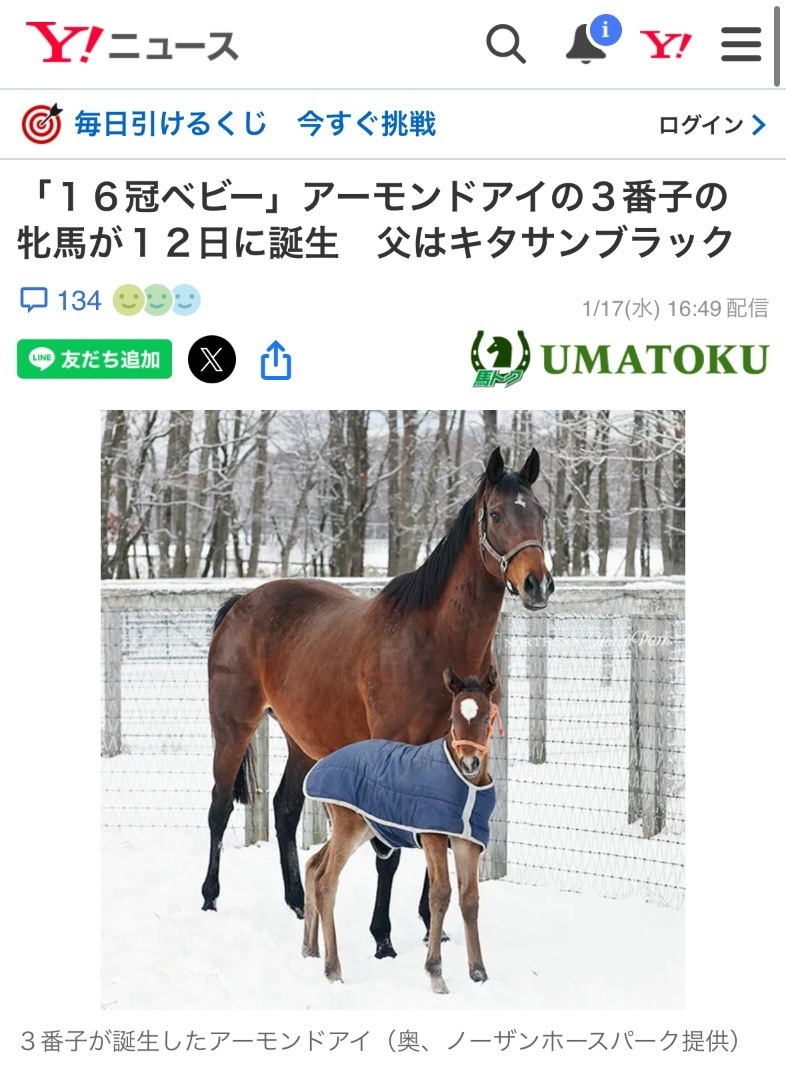 アーモンドアイの娘が産まれた話題: 【競馬パズル作家】てらこの週末競馬バー🐎（準備中）